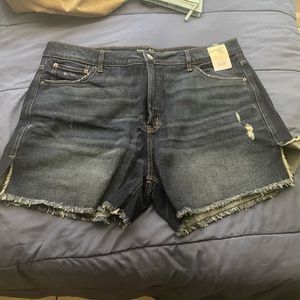 Terra & sky jean shorts